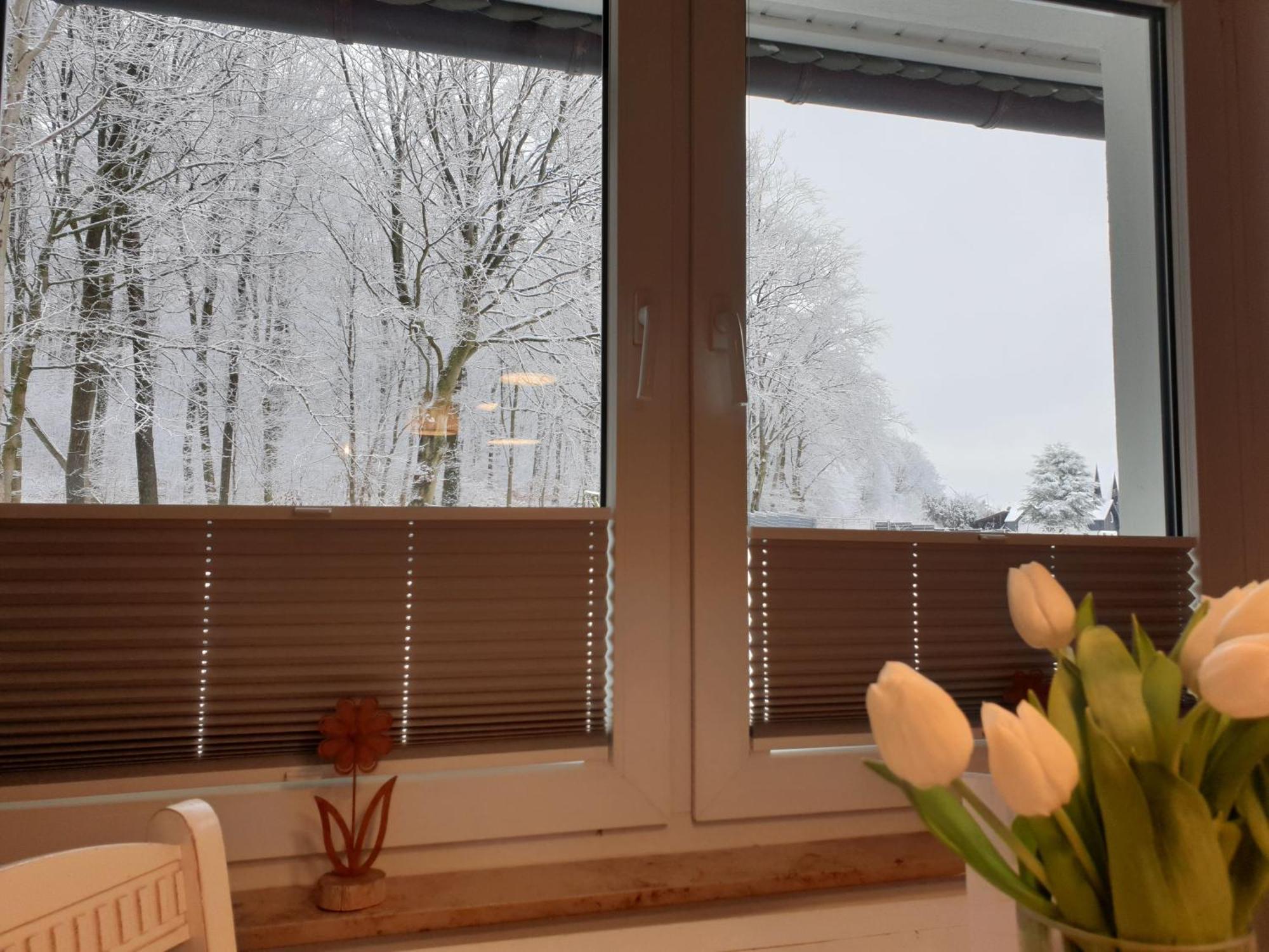 Apartment Winter In Der Waldrand Mit Zwei Balkonen