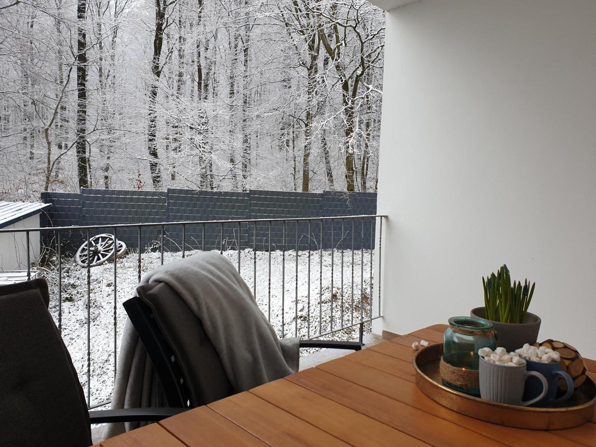 Apartment Winter In Der Waldrand Mit Zwei Balkonen